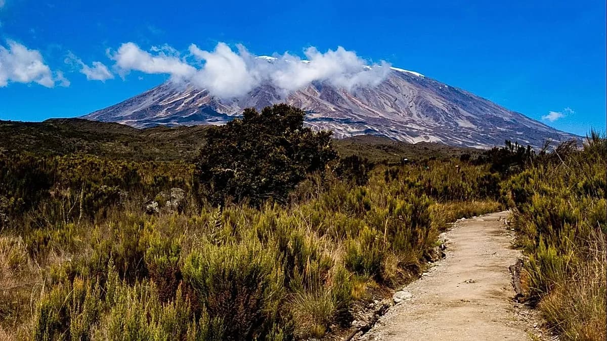 Accès au Kilimandjaro depuis l'Europe : nouvelles liaisons aériennes facilitent l'ascension