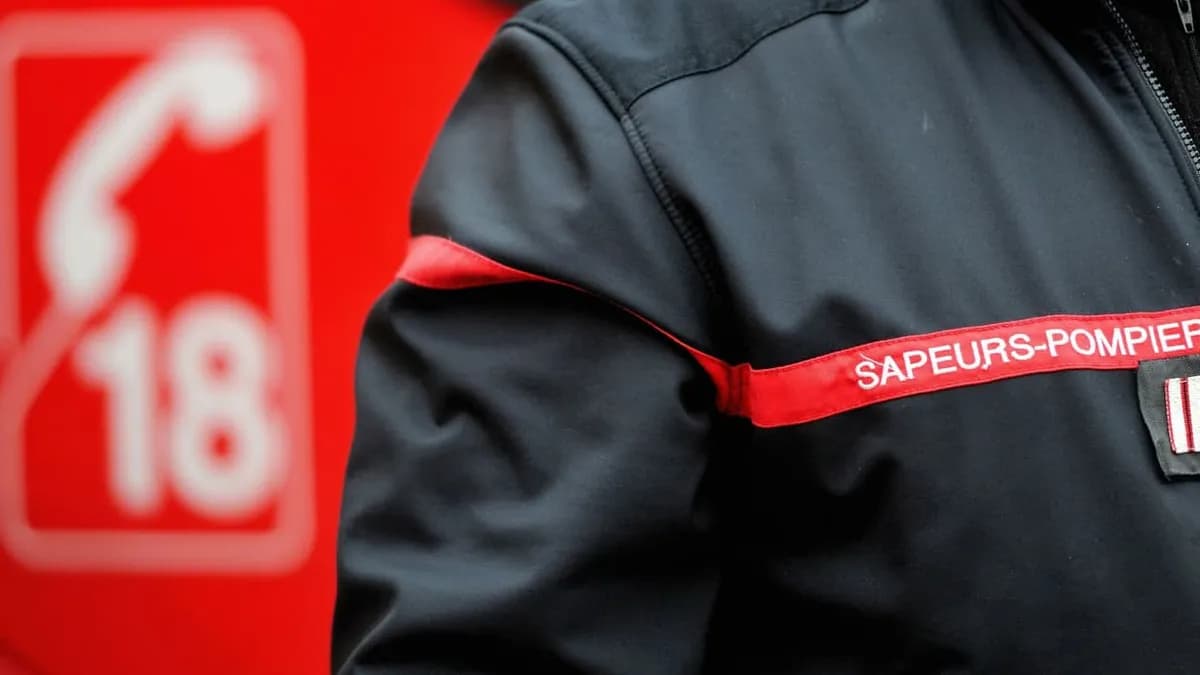 Incendie à Guillestre : le premier feu de forêt de la saison mobilise une cinquantaine de pompiers