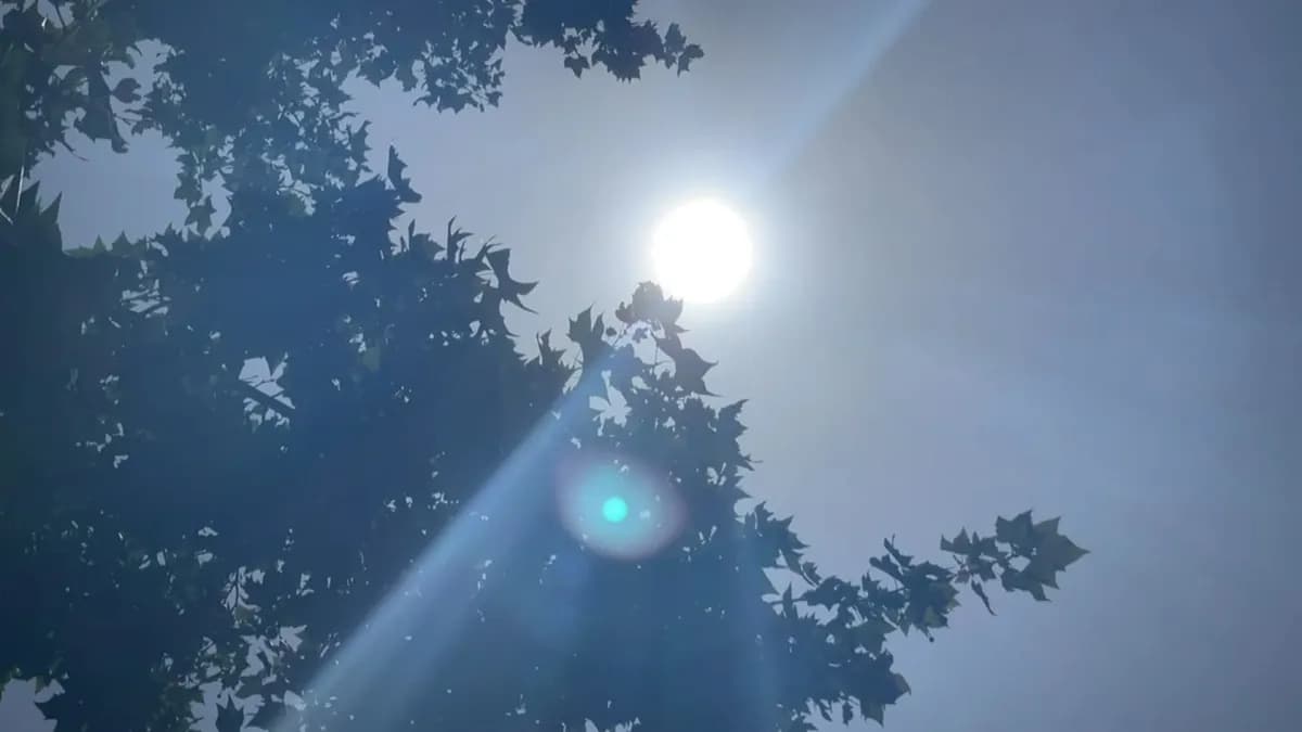 Canicule précoce : jusqu'à 30°C attendus dès ce lundi en France