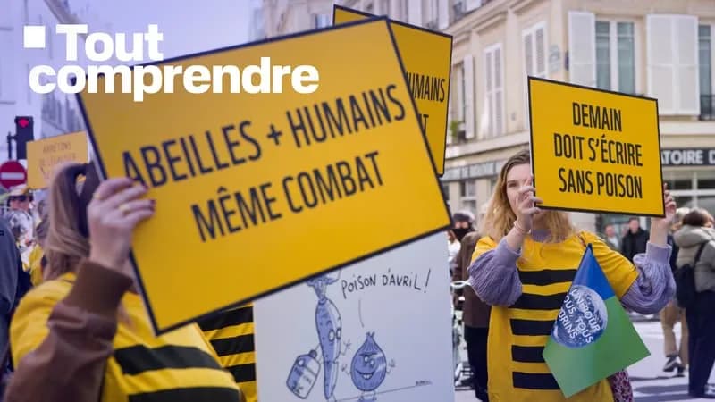 Pesticides interdits en France : vers une réintroduction dérogatoire ?