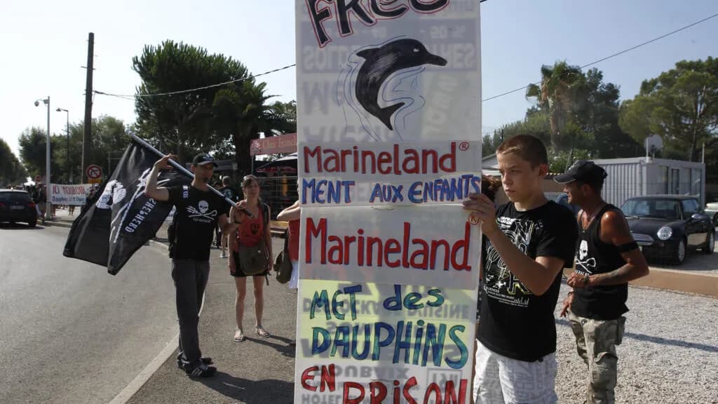 Dauphins du Marineland d'Antibes transférés en Espagne