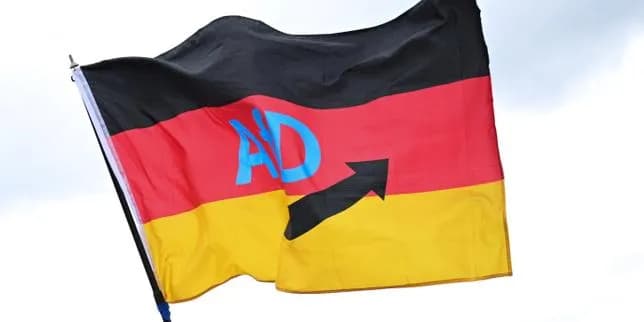 Élections en Saxe-Anhalt : l'AfD proche de la majorité absolue