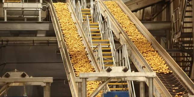 Crise de la pomme de terre : l'usine Clarebout arrête sa production
