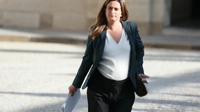 Marine Tondelier annonce la naissance de son fils après réunion à l'Élysée