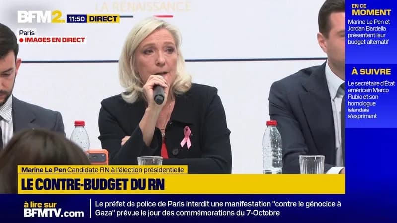 Banques refusent le financement du RN, Marine Le Pen dénonce un blocage