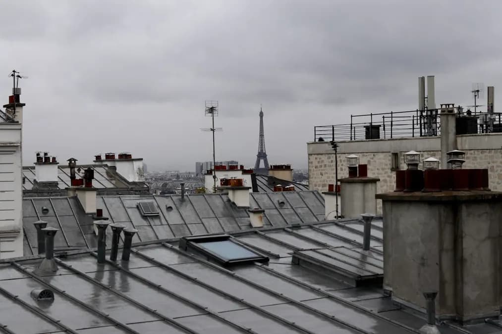 Hantavirus en France : état des lieux et gestion du cas grave à bord d’un navire de croisière
