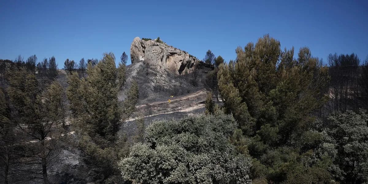 Incendies dans le sud de la France : mobilisation des pompiers