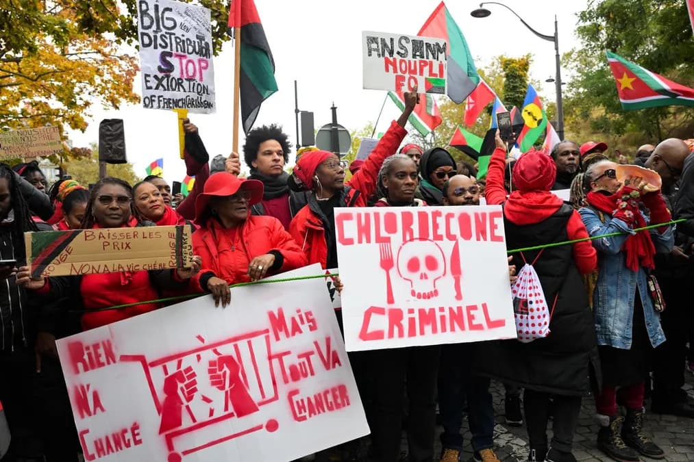 Chlordécone : les parties civiles se pourvoient en cassation