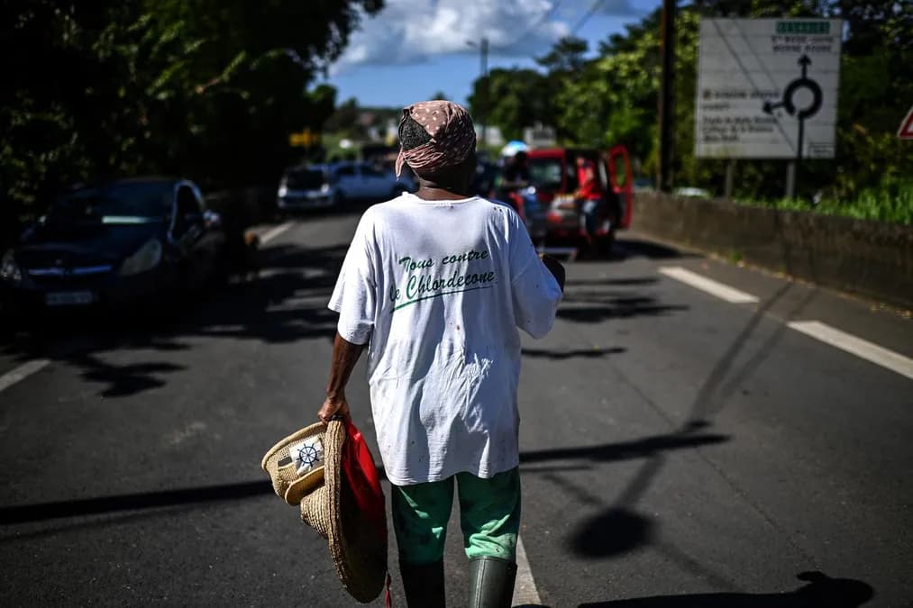 Chlordécone : la cour d'appel de Paris confirme le non-lieu