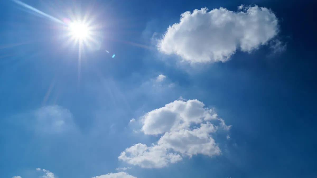 Canicule en France : les températures s'élèvent à 39°C