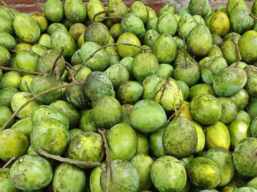 Mango : La justice enquête sur la mort du fondateur, son fils suspecté