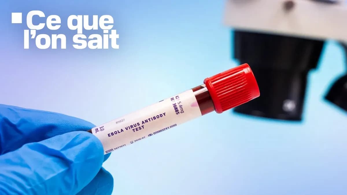 Épidémie d'Ebola en RDC : un variant sans vaccin cause près de 90 décès