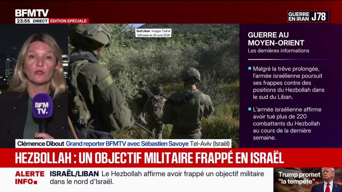 Hezbollah lance une attaque de drones sur le nord d'Israël malgré la trêve au Liban