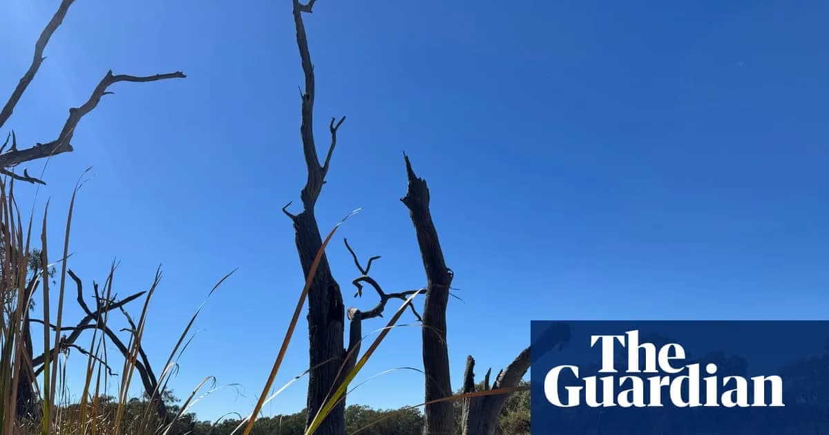 Nouvelle législation en Australie pour rétablir les flux d'eau dans les zones humides du Gwydir face à la sécheresse en 2026
