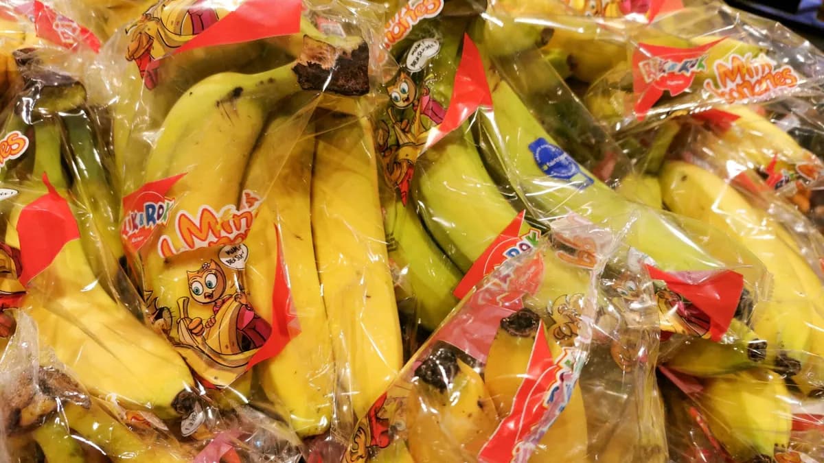 Hausse des prix du plastique en 2026 : pourquoi les emballages inutiles prolifèrent en supermarché