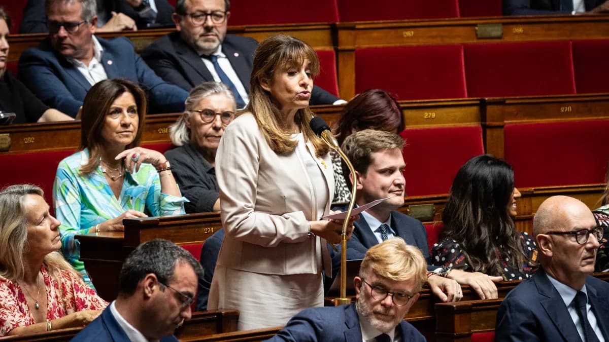 Plus de 400 000 signatures contre la loi Yadan accusée d'amalgame entre antisémitisme et antisionisme